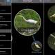 Image for article titled Our Favorite iOS, Android, and Windows Phone Apps of the Week